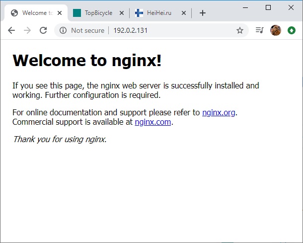Nginx default www.aredel.com