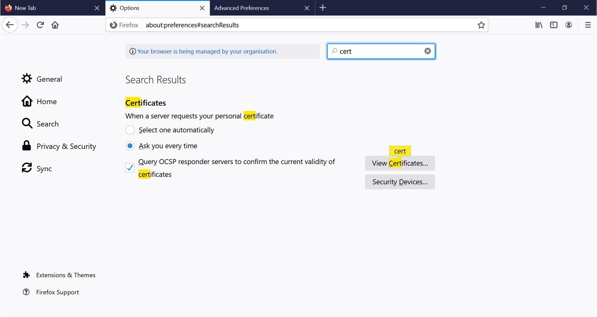 Recording a test in JMeter, the bin folder has certificates, image from www.andreyolegovich.ru