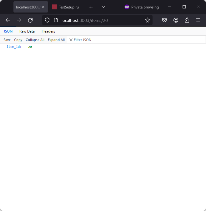 FastAPI item_id изображение с сайта www.devhops.ru